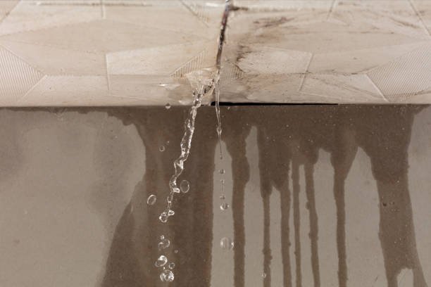 Professional Sewage Cleanup technician working in Marshall, WI